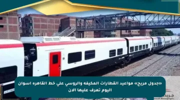 «جدول مريح» مواعيد القطارات المكيفة والروسي على خط القاهرة أسوان اليوم تعرف عليها الآن